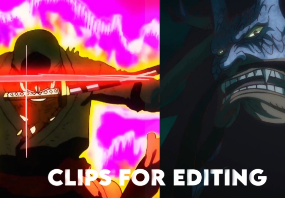 Zoro vs Kaido Clip For Editing