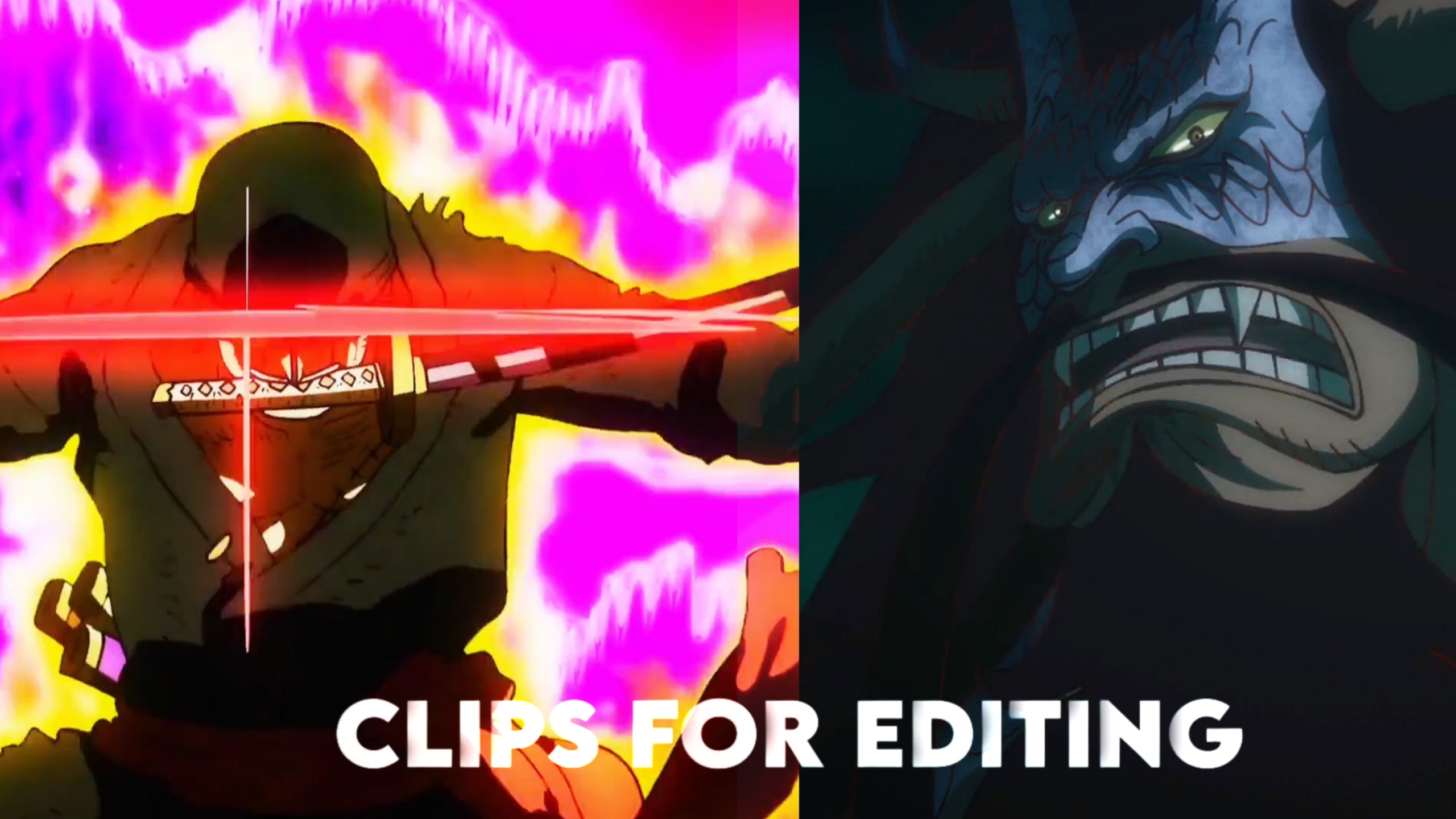 Zoro vs Kaido Clip For Editing