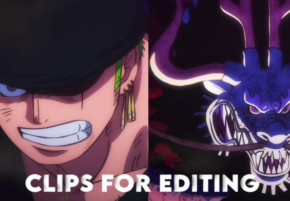 Zoro Cut Kaido Clips