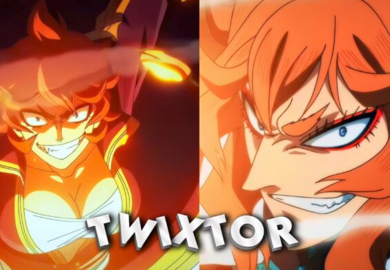 Mereoleona Twixtor