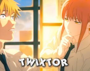 Denji Twixtor