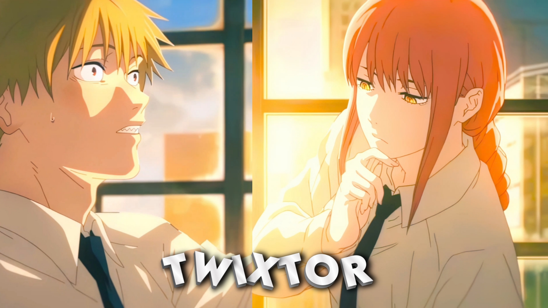 Denji Twixtor
