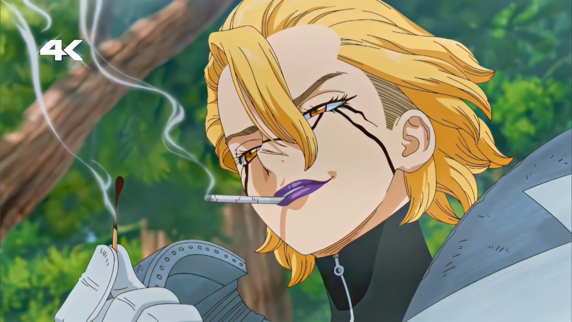 Stanley Snyder Twixtor