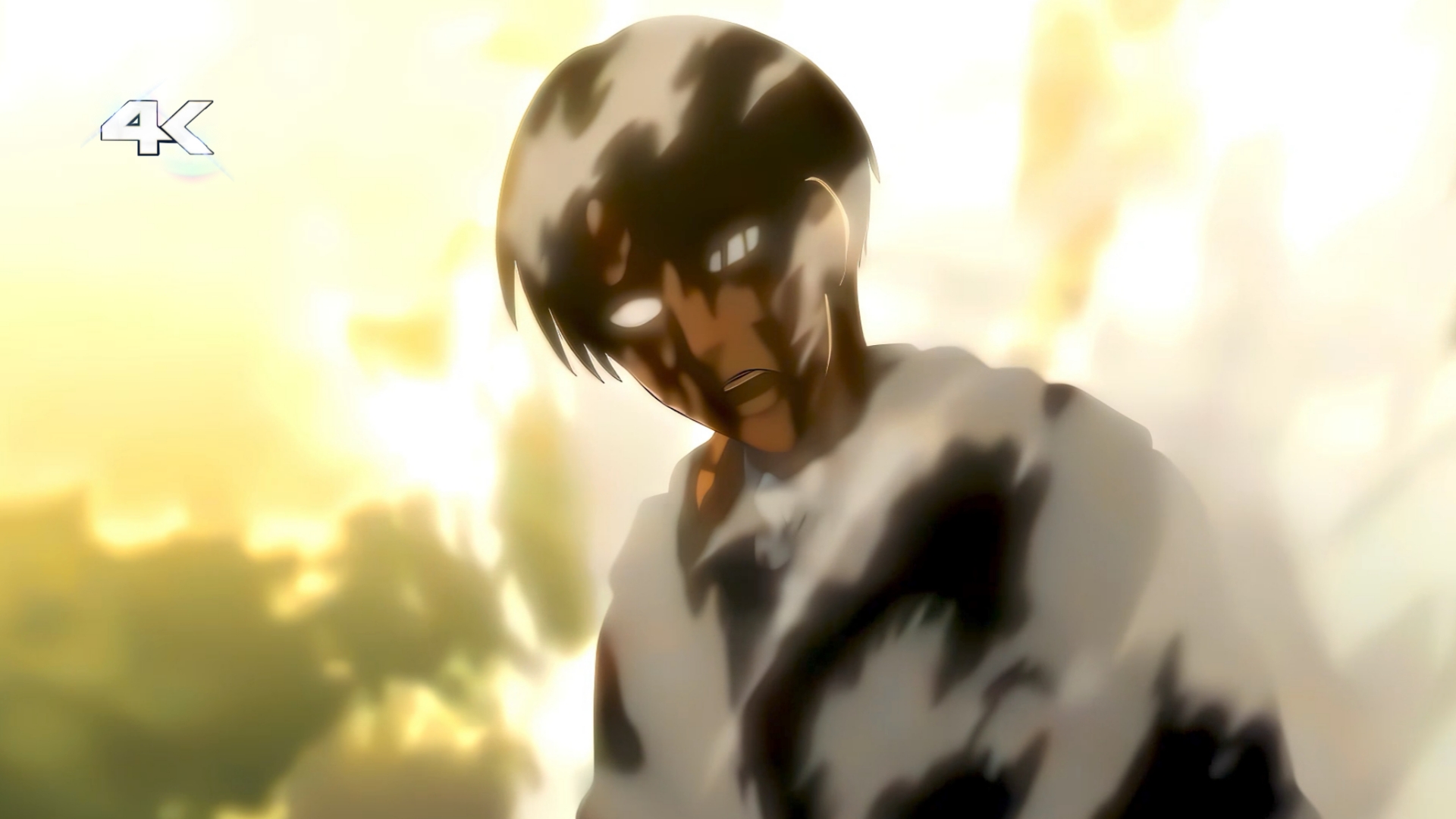 Levi Ackerman Twixtor Clips