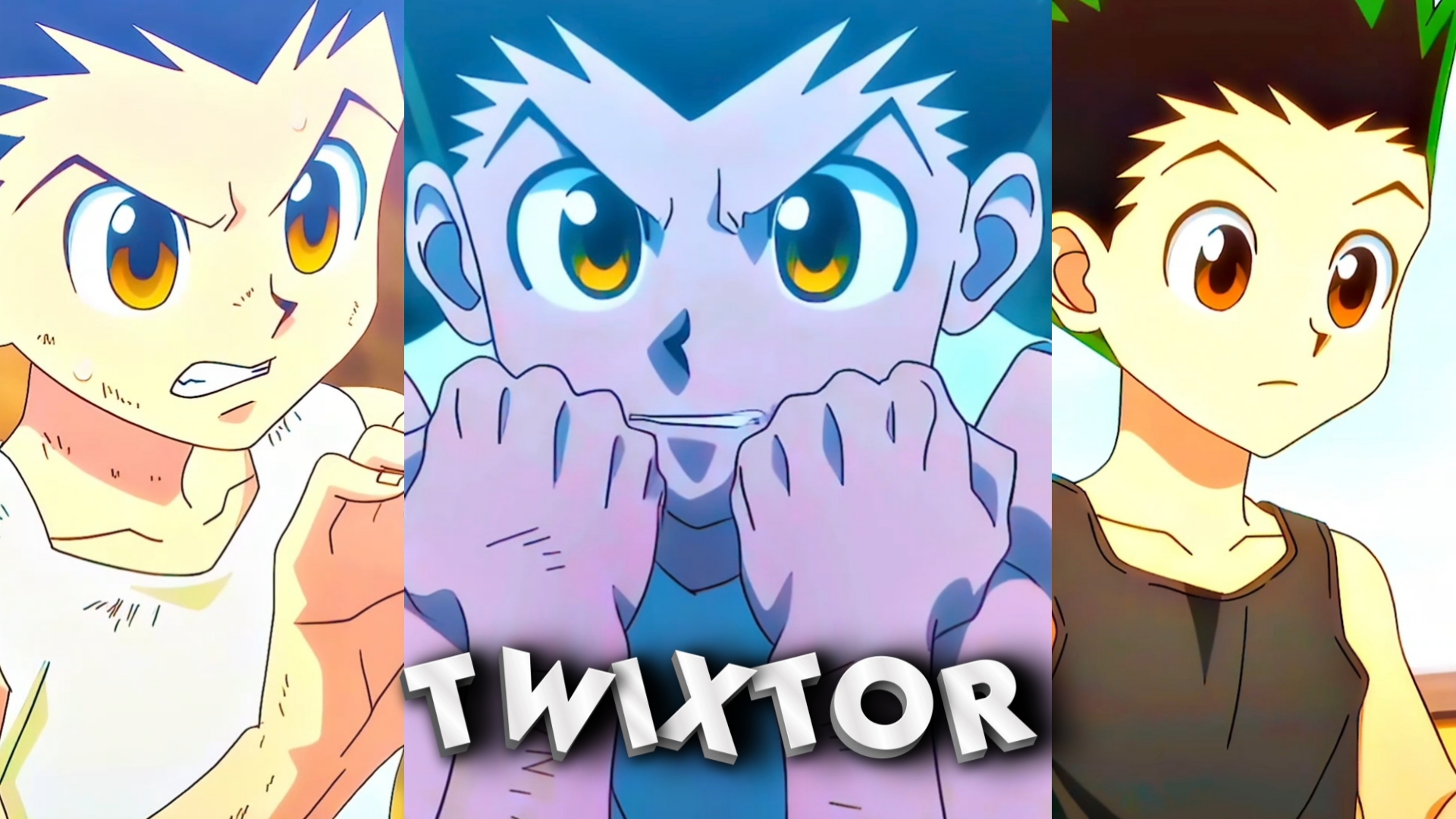 Gon Freecss Twixtor