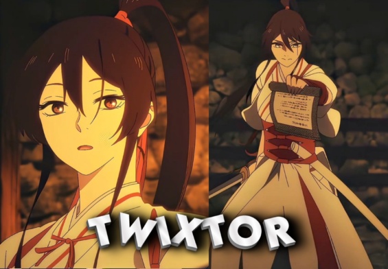 Yamada Asaemon Twixtor