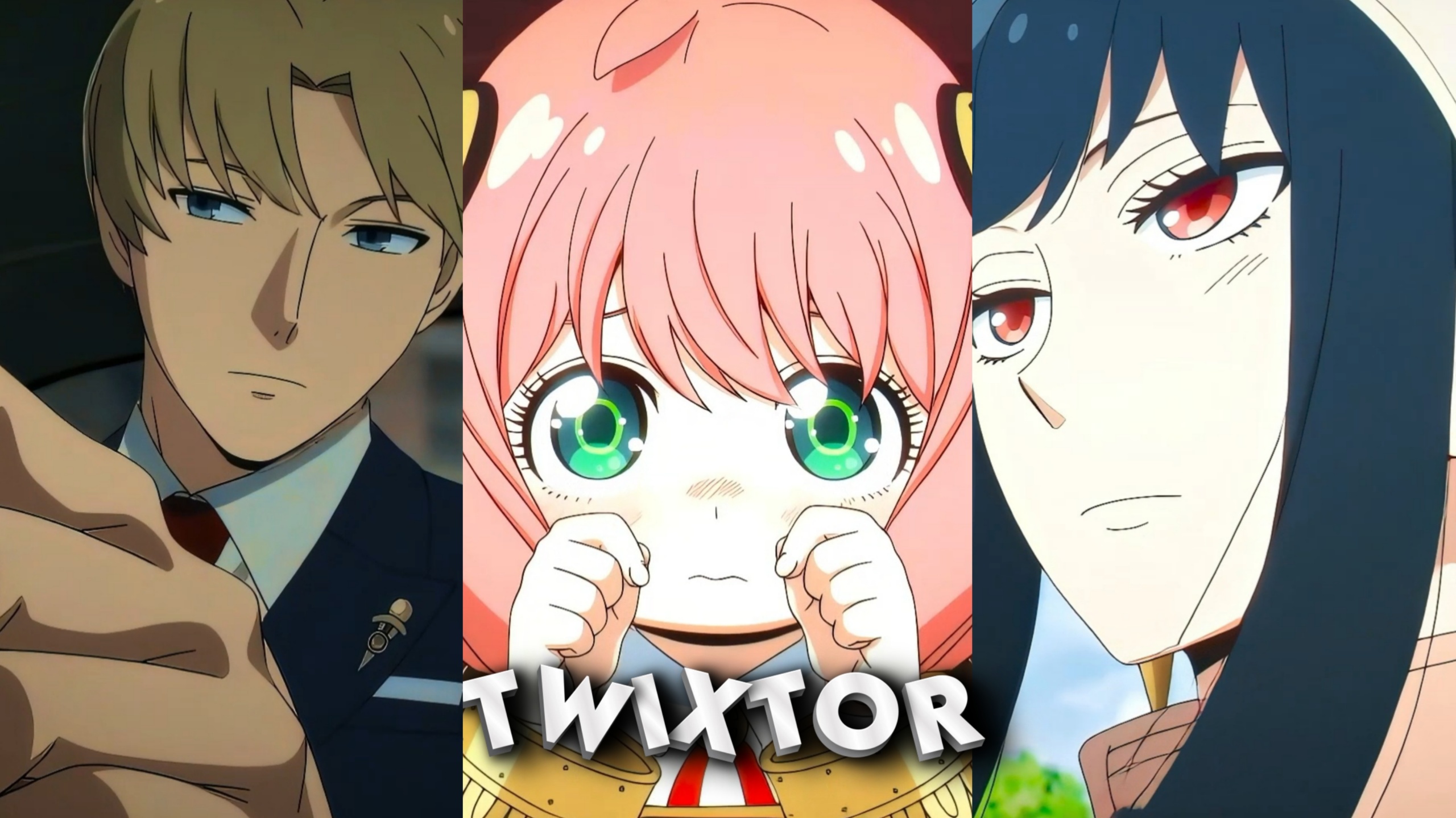 Spy x Family Mix Twixtor